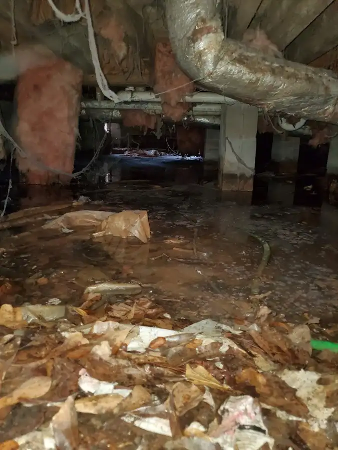 Crawl space flood assessment for Commercial Water Damage Restoration in Prospect