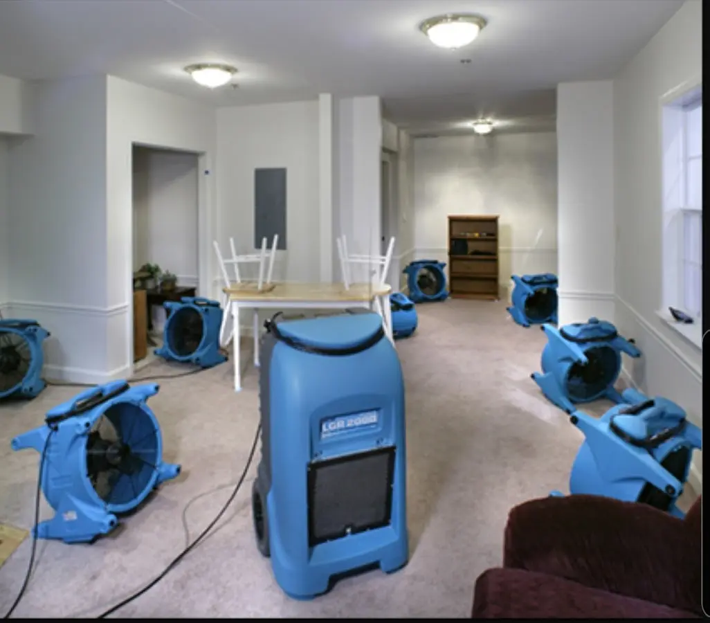 Air movers and dehumidifier setup for Water Extraction & Removal in Prospect