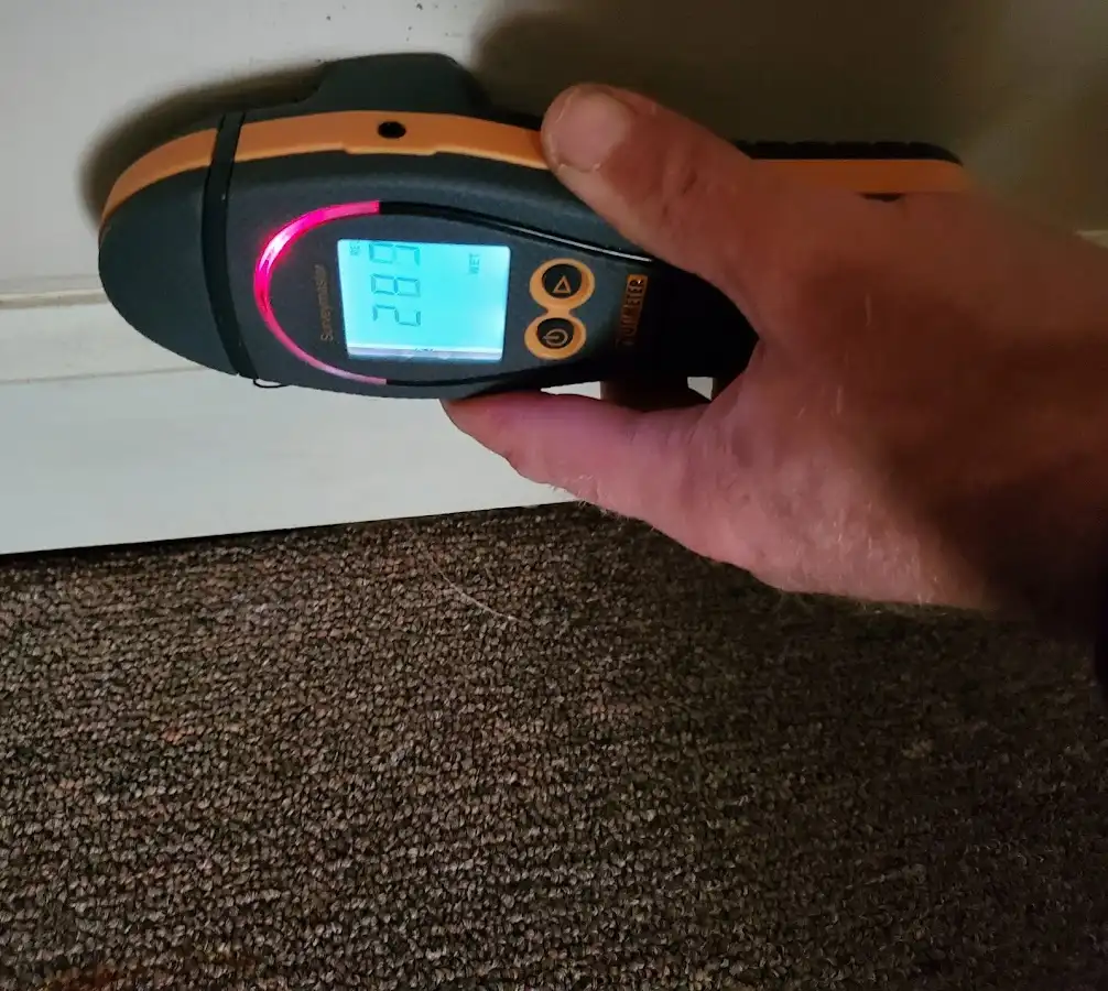 Moisture detection at baseboard during Mold Inspection & Testing in Prospect